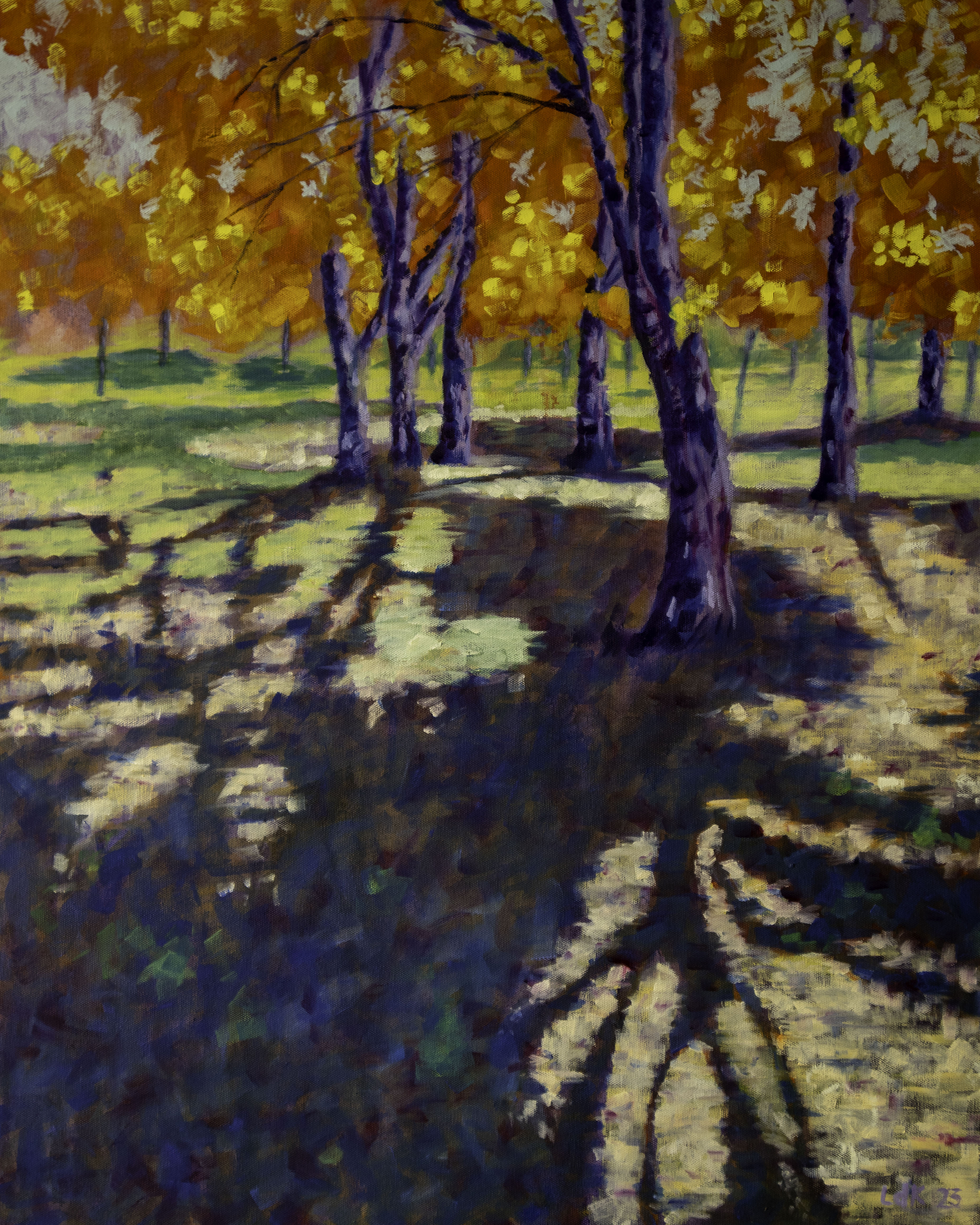 Autumn Shadows